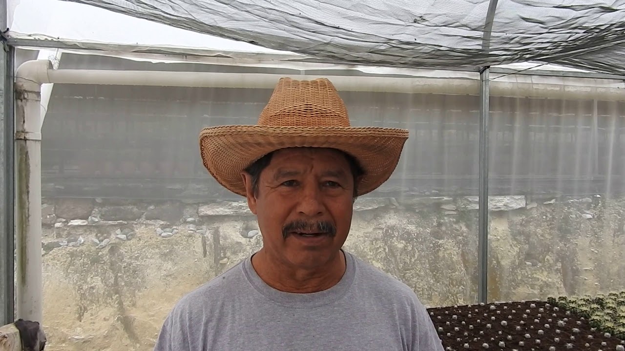 Visitando la UMA 