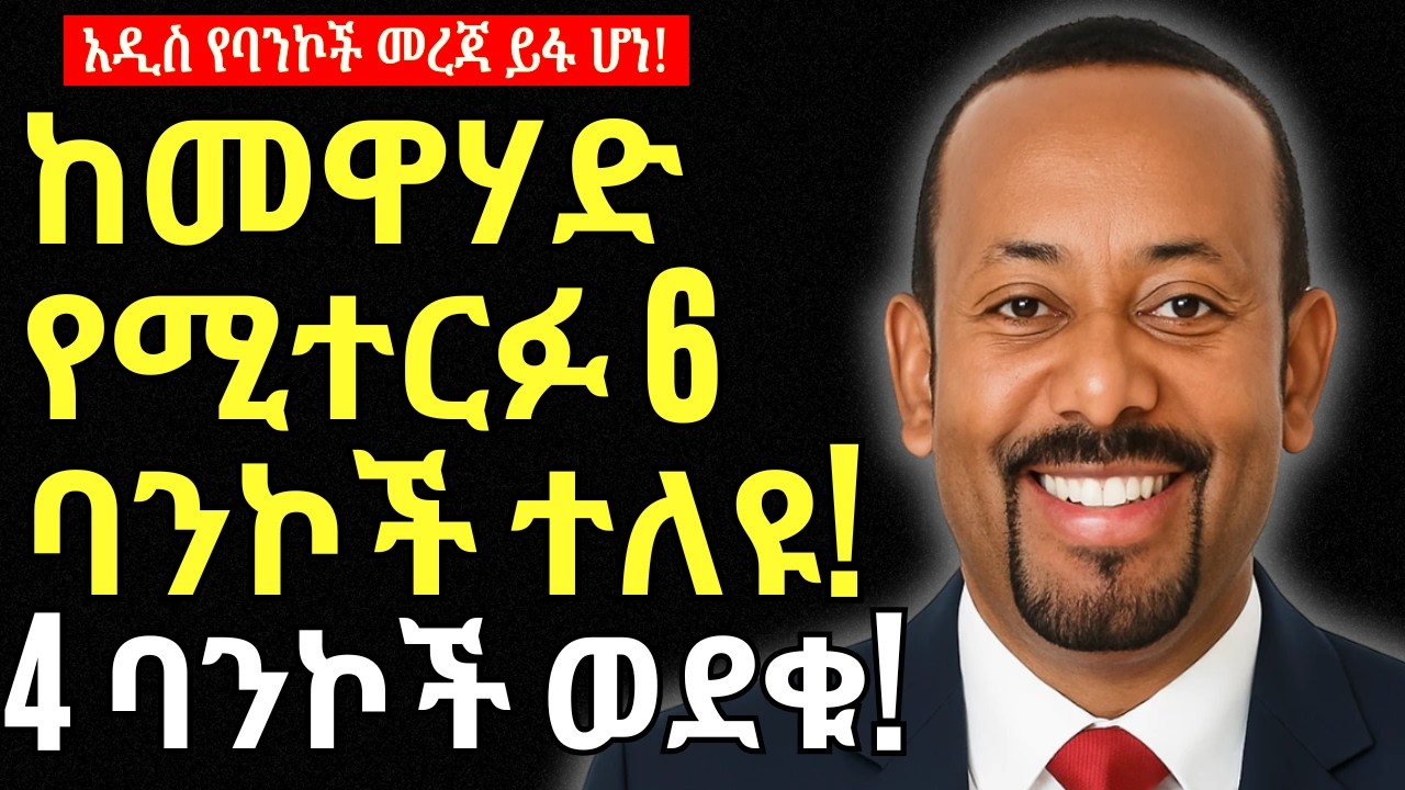 ከመዋሃድ የሚተርፉ ባንኮች ታወቁ | 4 ባንኮች አደጋ አለባቸው The NEW REAL ESTATE and Property Law, Investment in Business