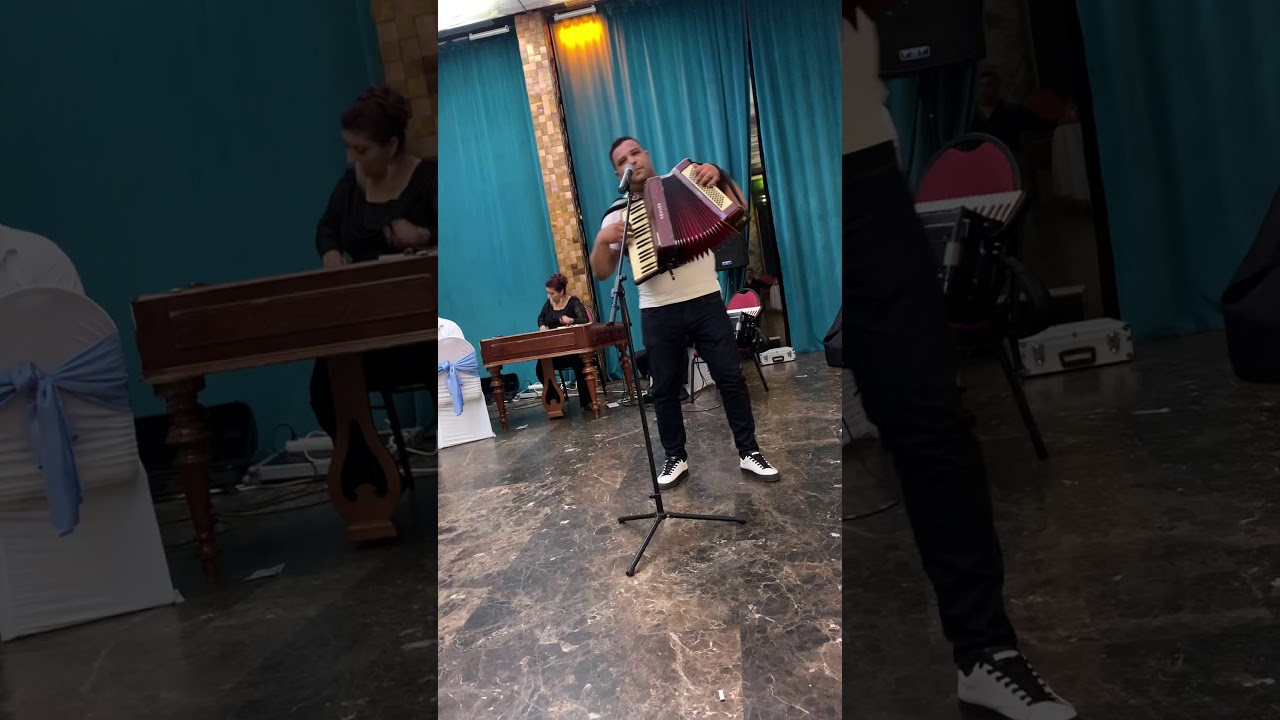 Leonard de la Ploiesti- Frunzulita viorea e  bolnava mama mea
