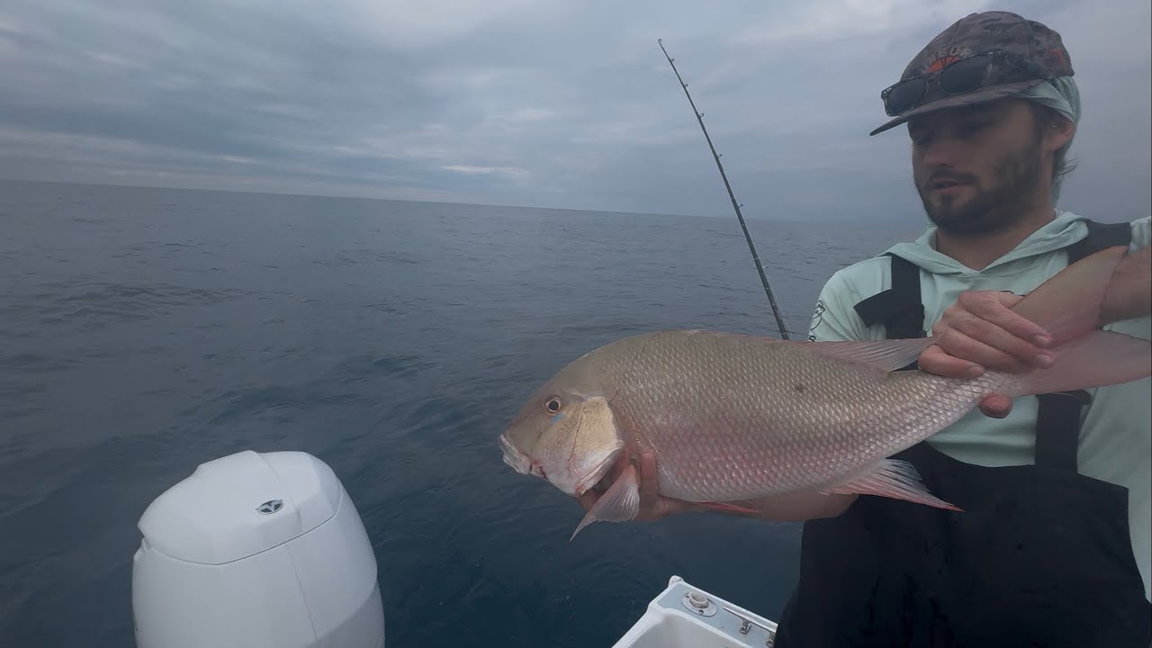 South Florida Snapper fishing is on fire!!! Good action!!