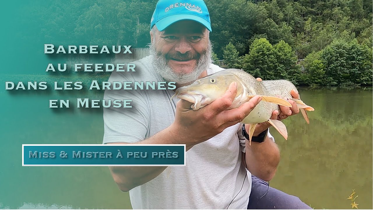 Pêche de BARBEAUX au FEEDER en MEUSE à MONTHERME