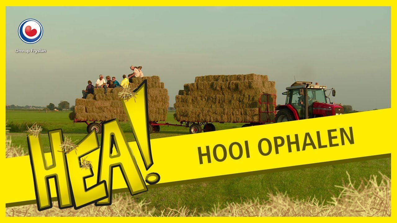 HEA! Hooi ophalen van het land met de hele familie