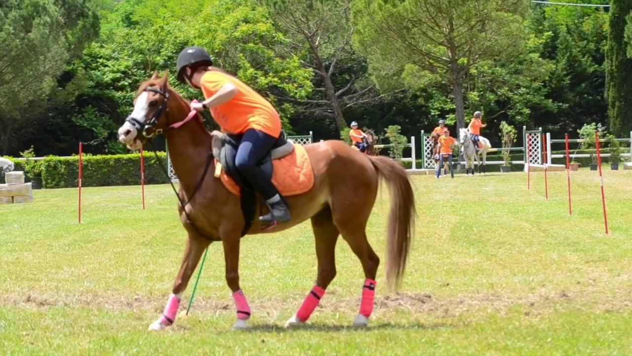 Mounted Games || La Squadra || ITC 2017