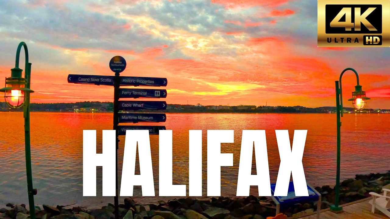 Halifax Nova Scotia Sunrise Ambience | Peaceful Waterfront for Relaxation & Focus