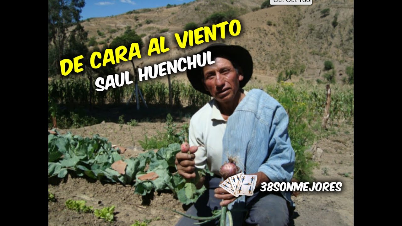 De Cara al Viento | Saul Huenchul