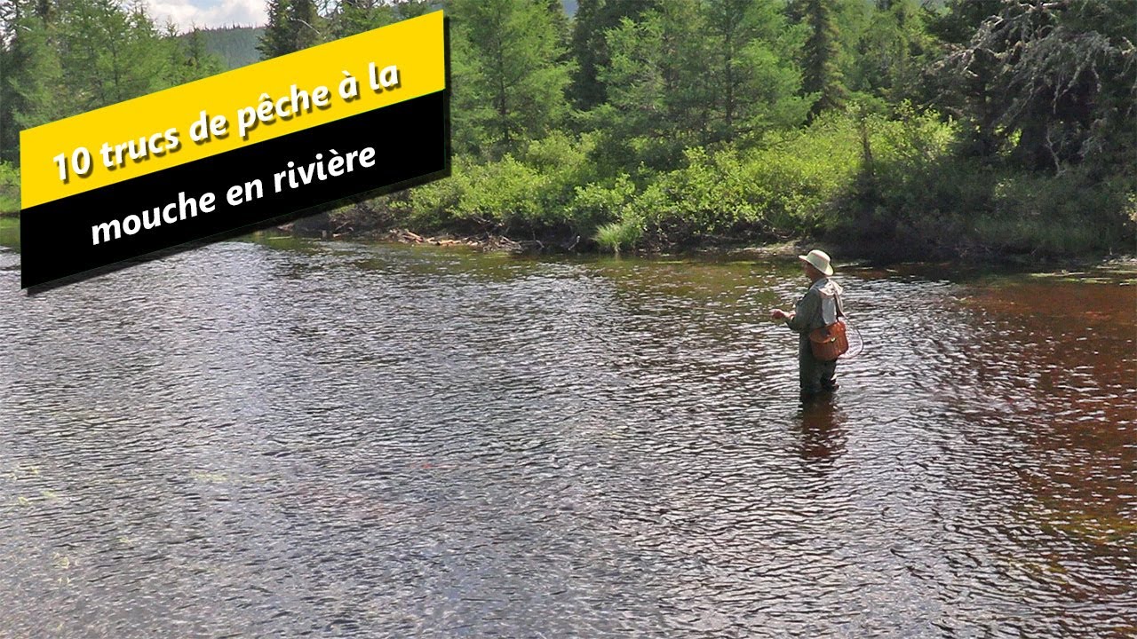 10 trucs de pêche à la mouche de la truite en rivière