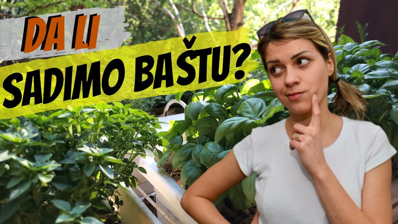 Bašta na terasi? Ma nemoguće!
