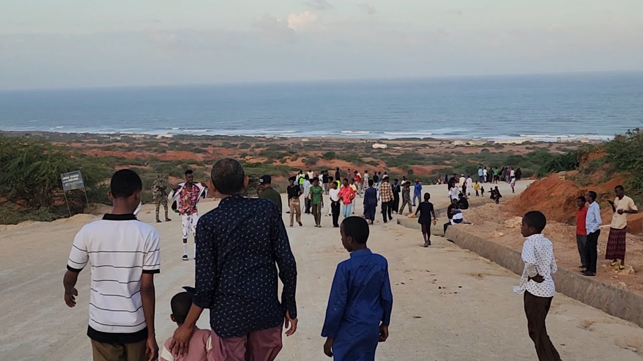 DAMASHAD BERTA NAWADA TV Baqdadi Baraawe