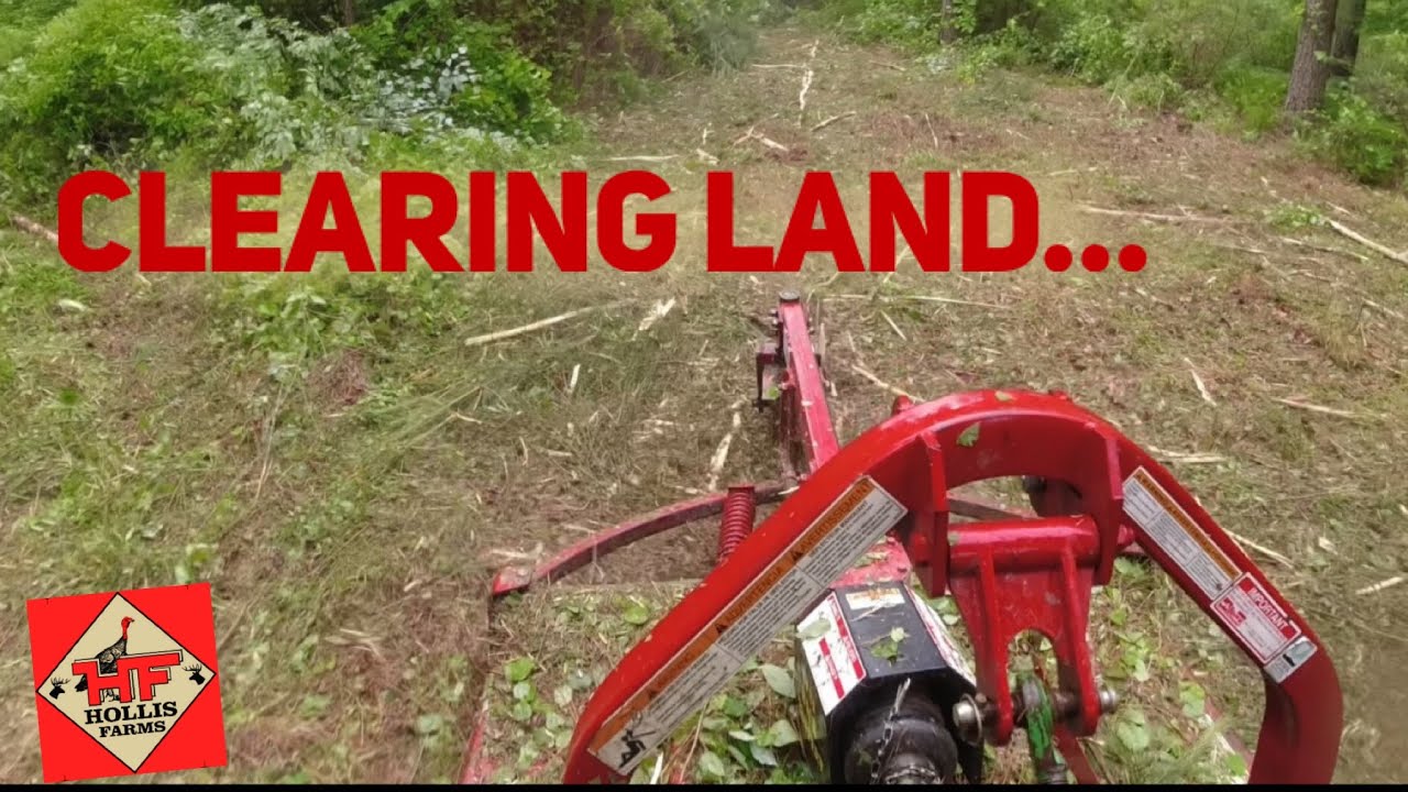 CLEARING LAND🌲🌲🌲 With The Brown Tree Cutter!