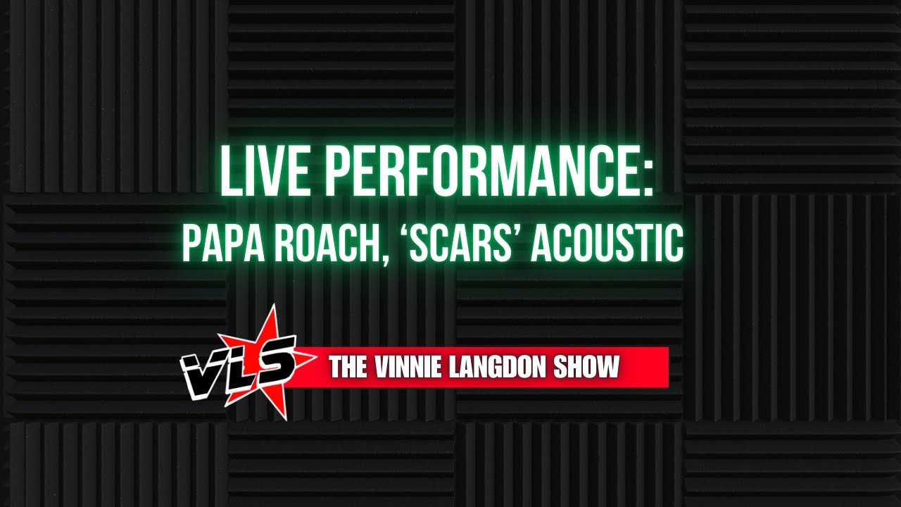 The Vinnie Langdon Show: Papa Roach - Scars - Live Acoustic (2012)