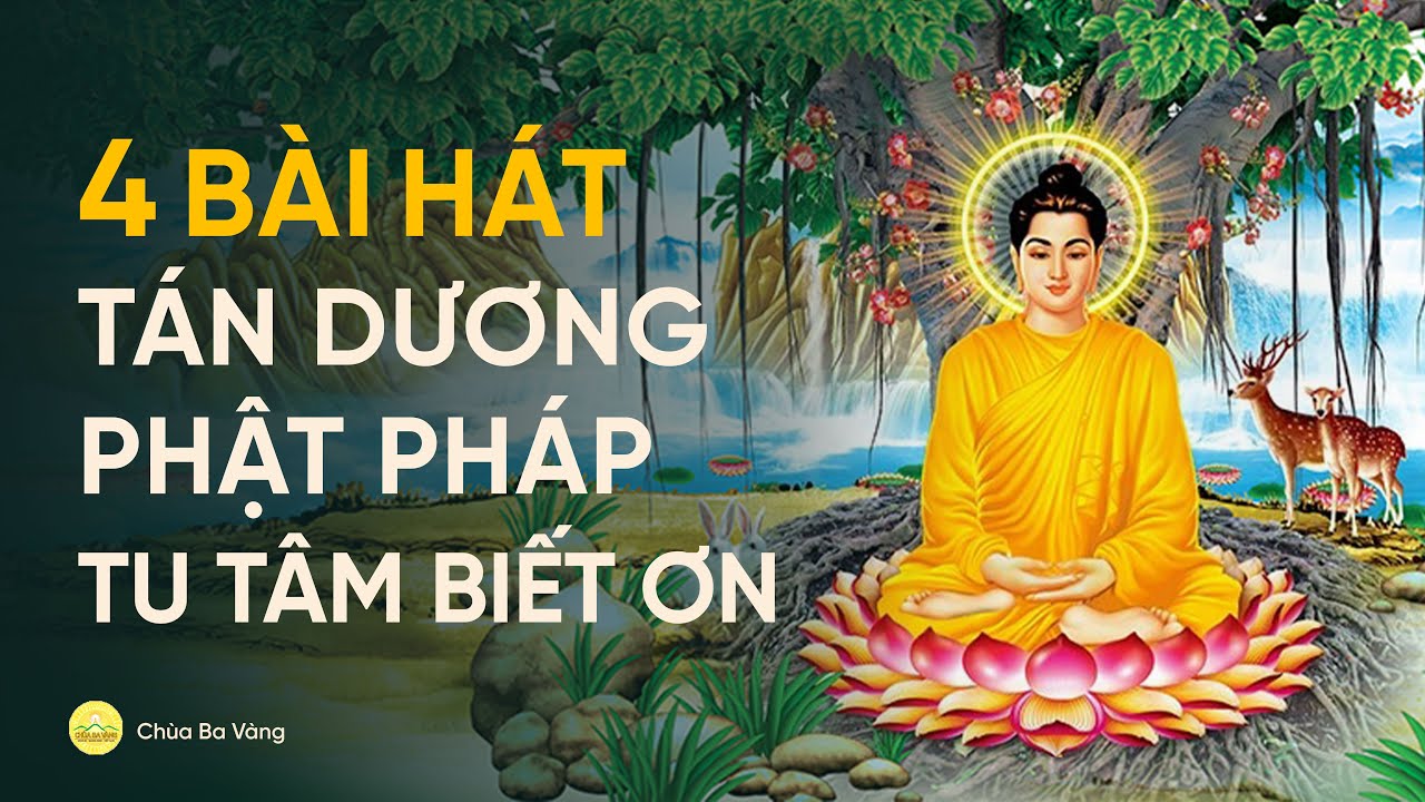 4 b&agrave;i h&aacute;t t&aacute;n dương Phật Ph&aacute;p, tu t&acirc;m biết ơn | Nhạc Phật gi&aacute;o | ch&ugrave;a Ba V&agrave;ng