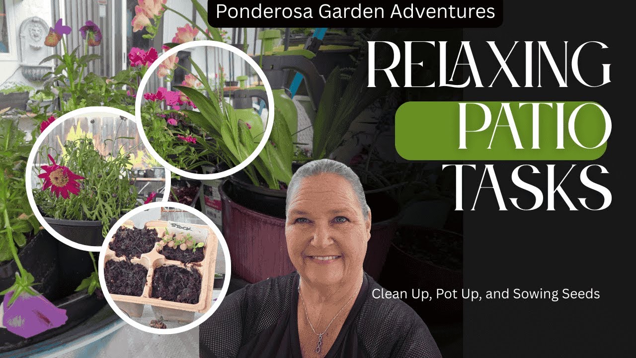 Patio Plants & Seedlings