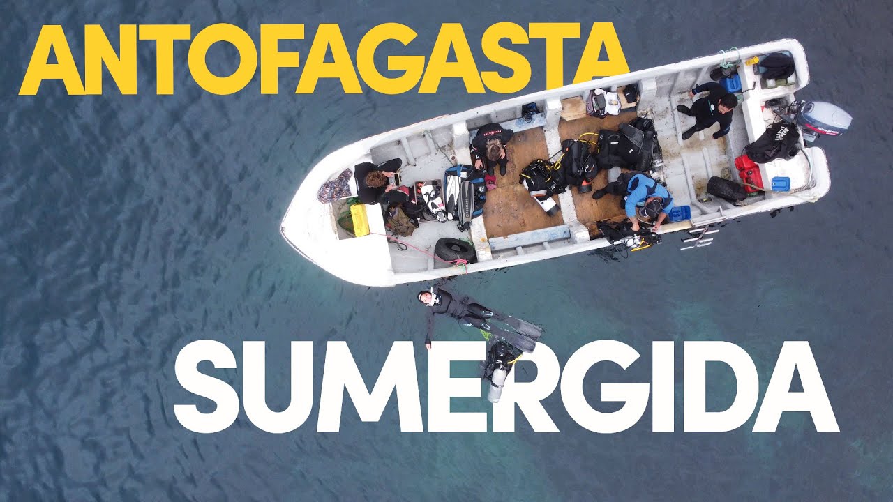 Buceando en Antofagasta - Bahari en casa rodante por el Norte de Chile Ep 9