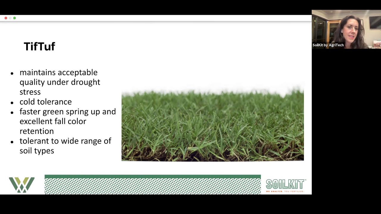 Christina answers: I know I need to bring my lawn's pH level down to grow blueberries, but how?