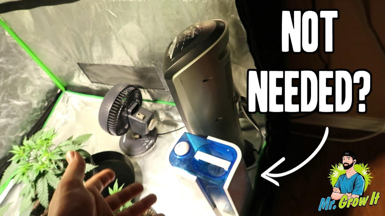 Optional Grow Equipment To Balance Environment! - Do You Need It Or Not?
