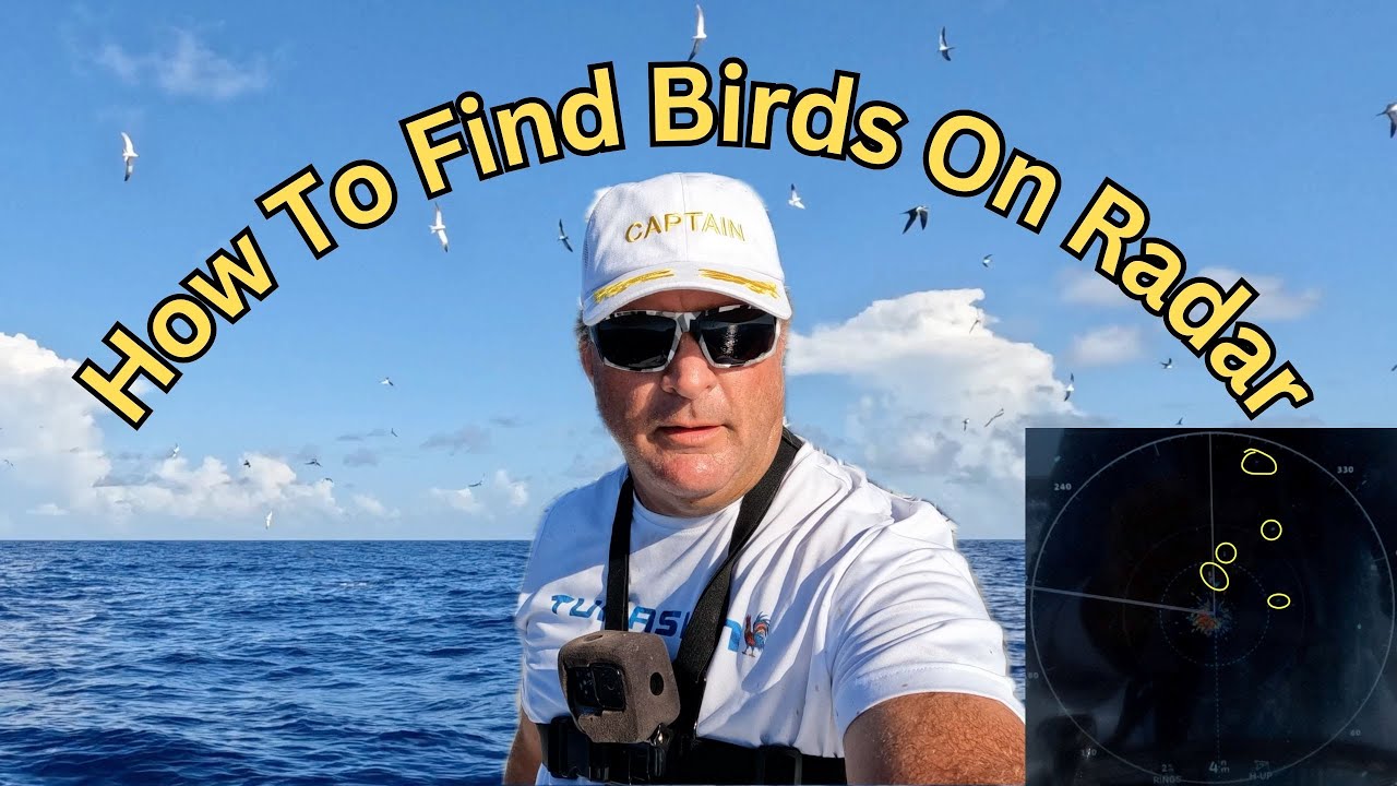 How To Find Birds ➥ Mahi and Tuna, Using Bird Mode On Radar