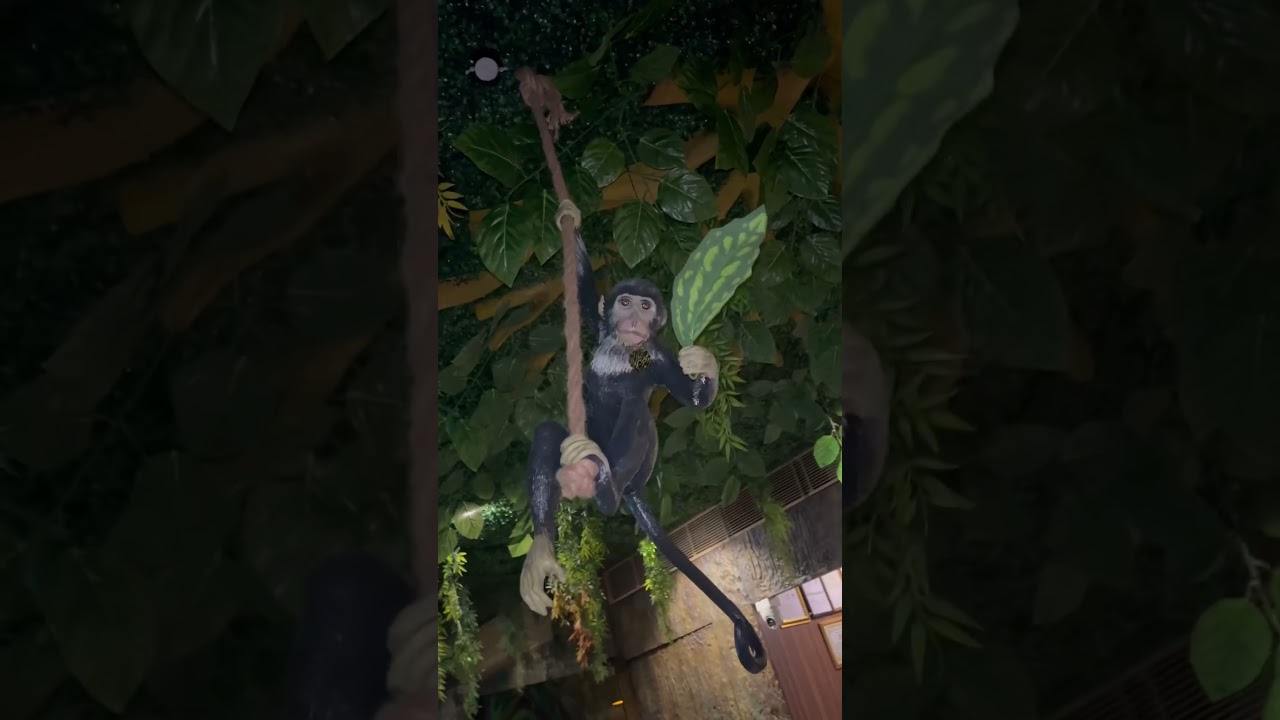 Badlapur mein abh  apko dekhne milagha ek theme park restaurant #resturant #badlapur #food