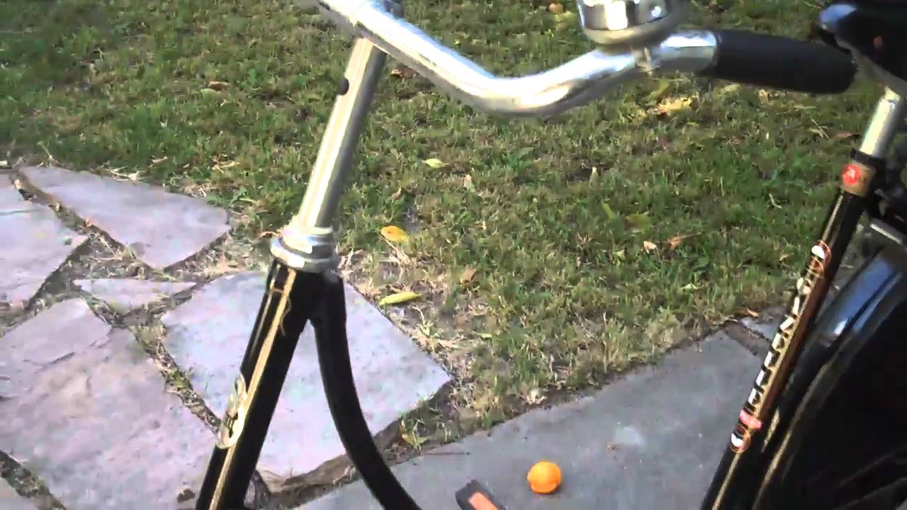 Gazelle Populair