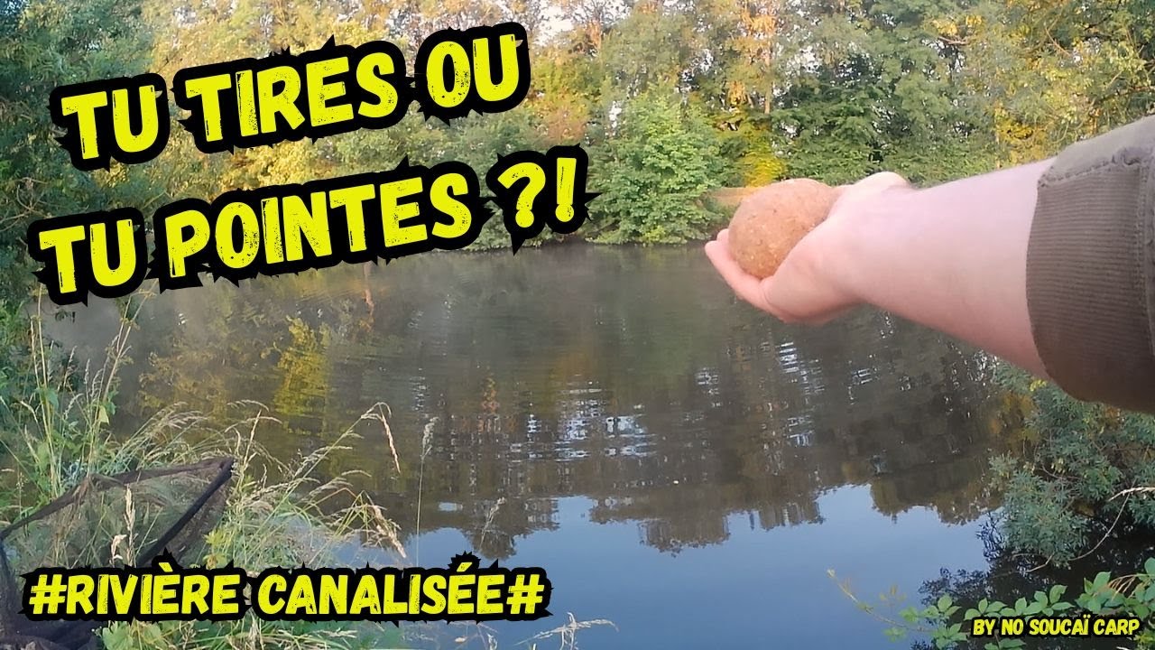 Tu tires ou tu pointes?!//carpe en rivière canalisée