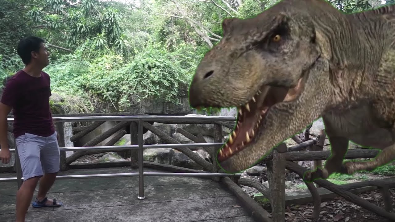 去泰国清迈动物园 THAILAND CHIANG MAI ZOO