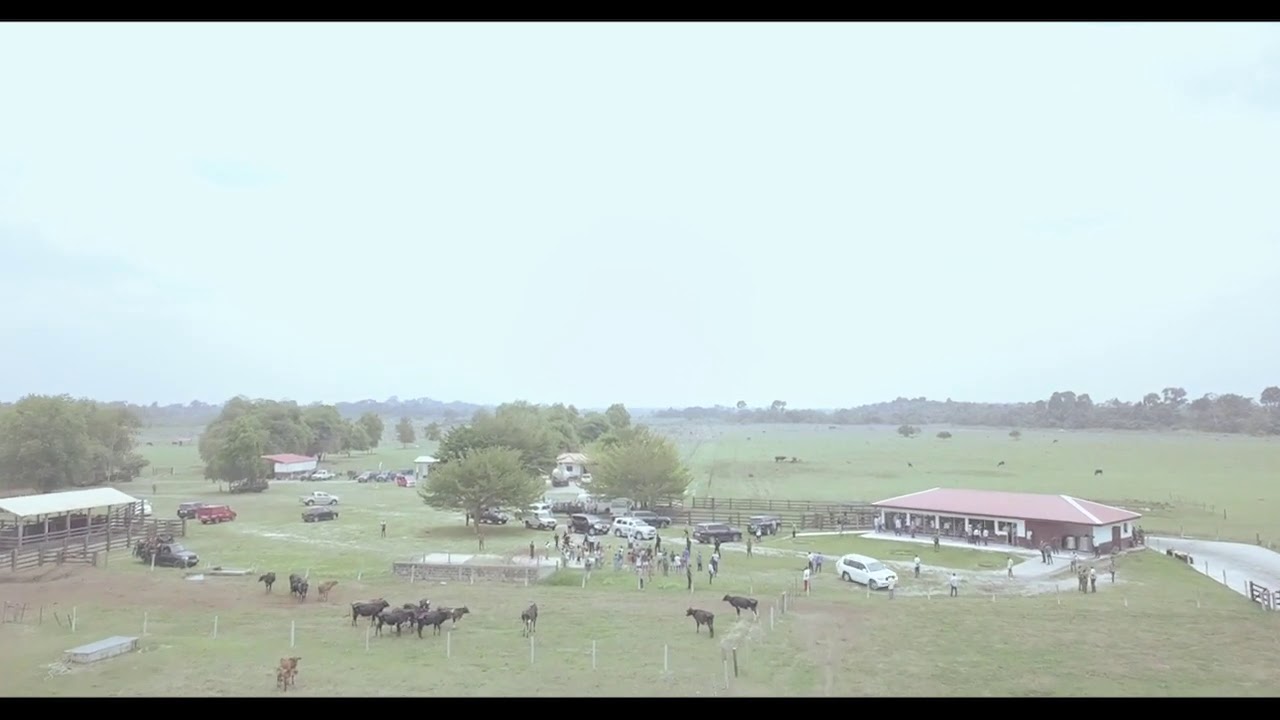Visite du Ranch #Killa à #Oyo par Denis #Sassou N'Guesso