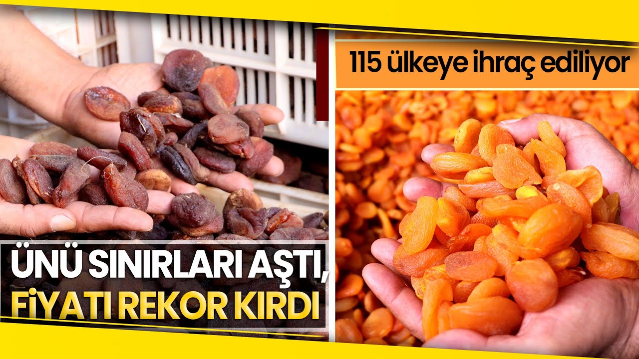 Kuru Kayısıda Rekor Fiyat