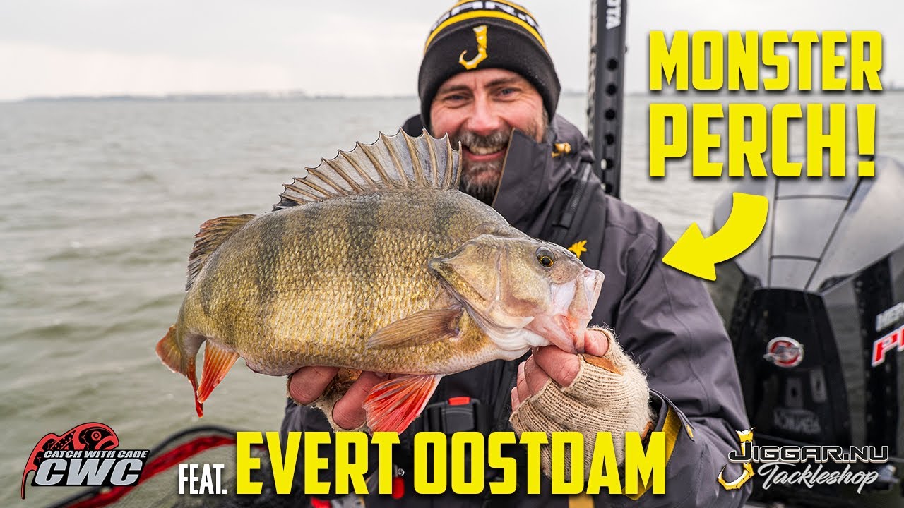 Fishing for Giants with Evert Oostdam – Pike, Zander & Perch Mission!