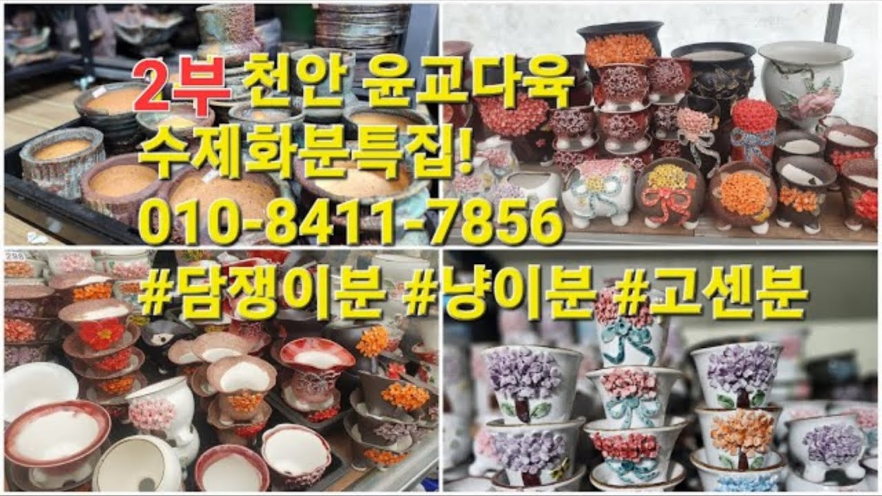 2부 천안 윤교다육1주년기념! 수제화분특집!010-8411-7856 #담쟁이분 #냥이분 #고센분
