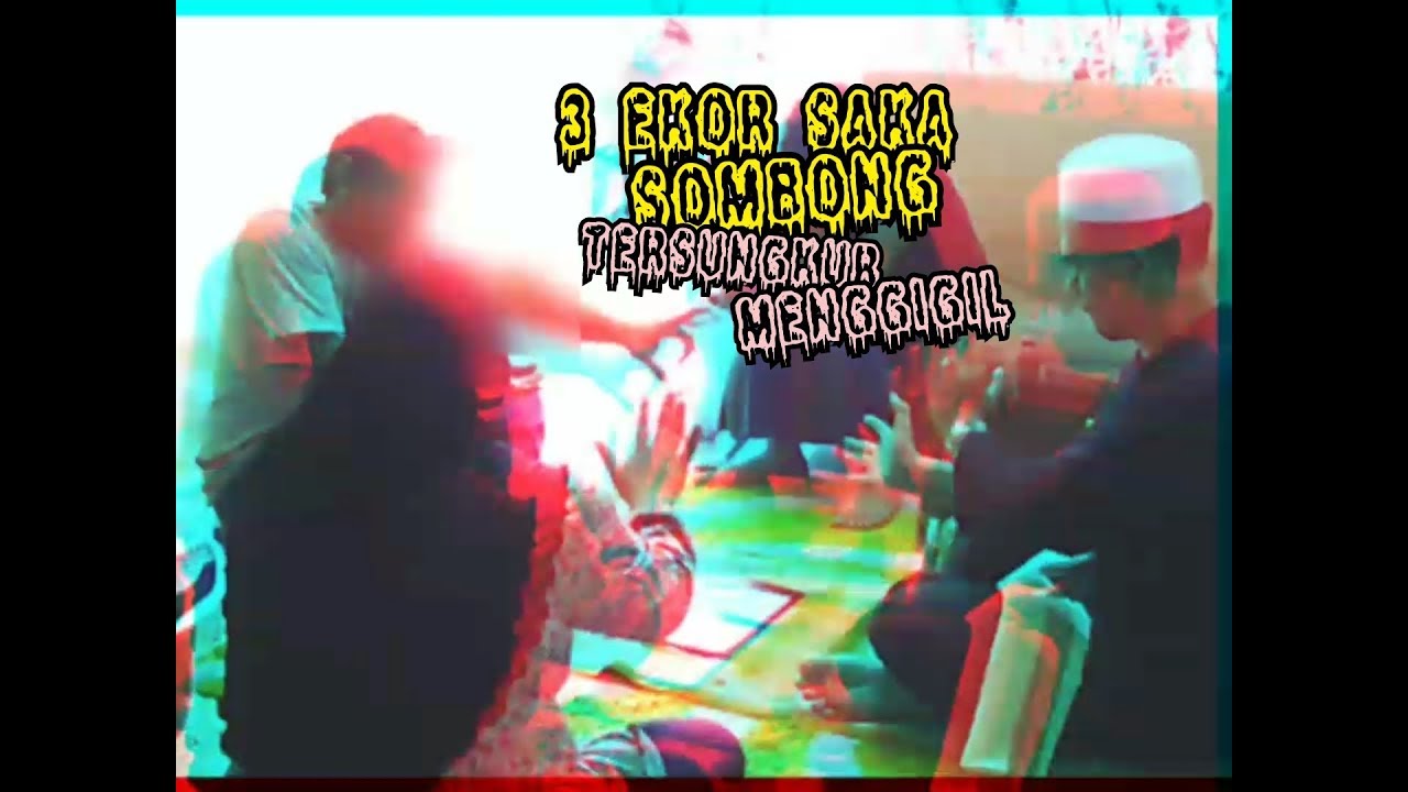 🔥3 EKOR SAKA SOMBONG TERSUNGKUR MENGGIGIL🔥| JEJAK ALAM MISTIK
