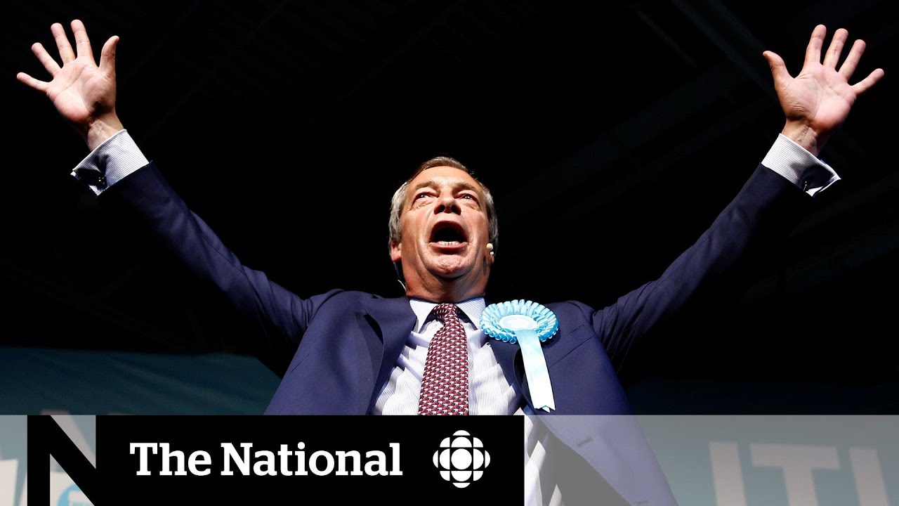 Brexit Party looking for votes in the EU Parliament | Dispatch