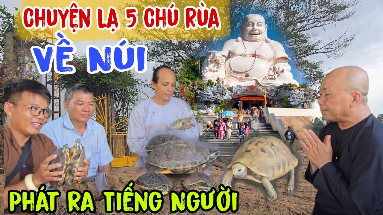 Chuyện Lạ 👉 Năm chú Rùa về Núi ( Phát Ra Tiếng Người - cô Hai Kể Lại | Châu Phú Area 51 Thiên Cấm