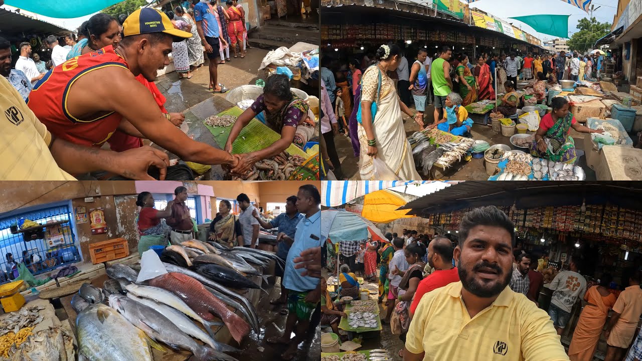 Velankanni Fish Market….🐟🐟🐟