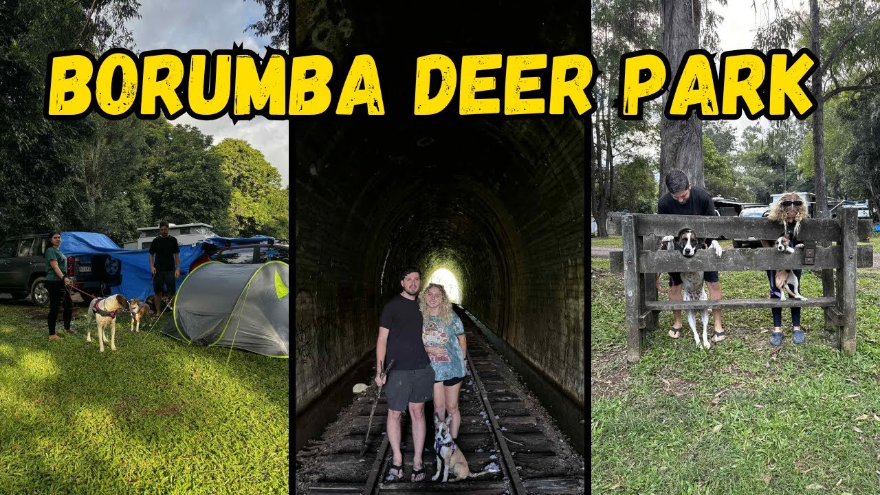 A small get away for a long weekend!! BORUMBA DEER PARK