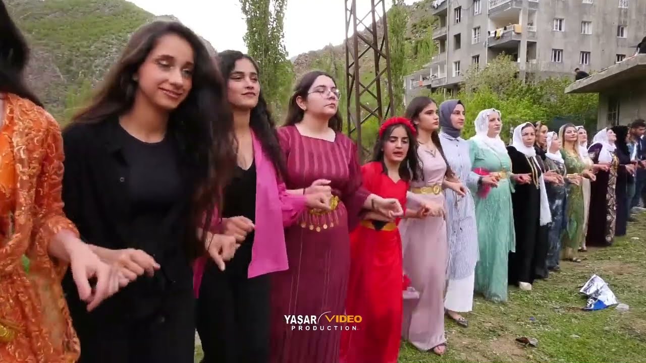Seher & Sefer  Tonğ Düğünü Uludere  Full HD Part 3