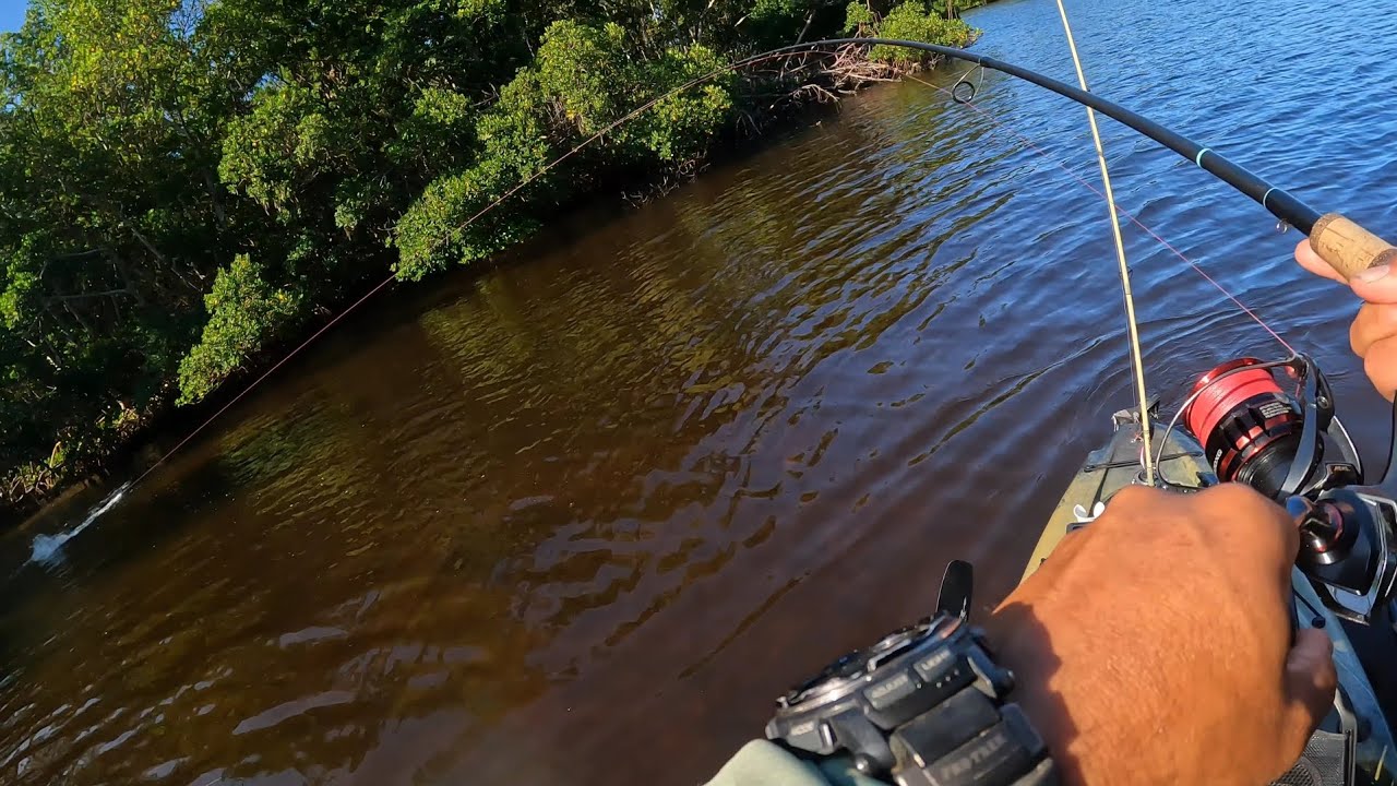EG Simmons bite was on fire! 🔥🔥 #redfish #redfishing #tampabayfishing #tampabay