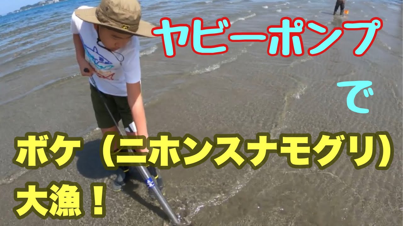 ヤビーポンプでボケ（ニホンスナモグリ）大漁！
