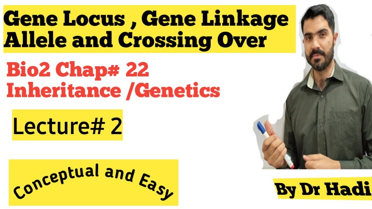 L-2 Gene, Gene locus Gene linkage Allele and Crossing over  BY Dr Hadi