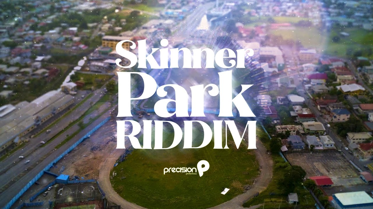 Skinner Park [Skinner Park Riddim] (Official Audio) | Nadia Batson