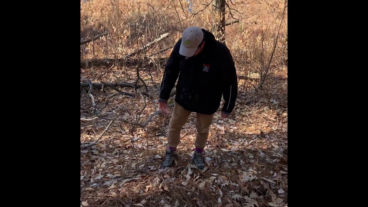 Bushy Hill - Online Outdoor Opportunities Episode
