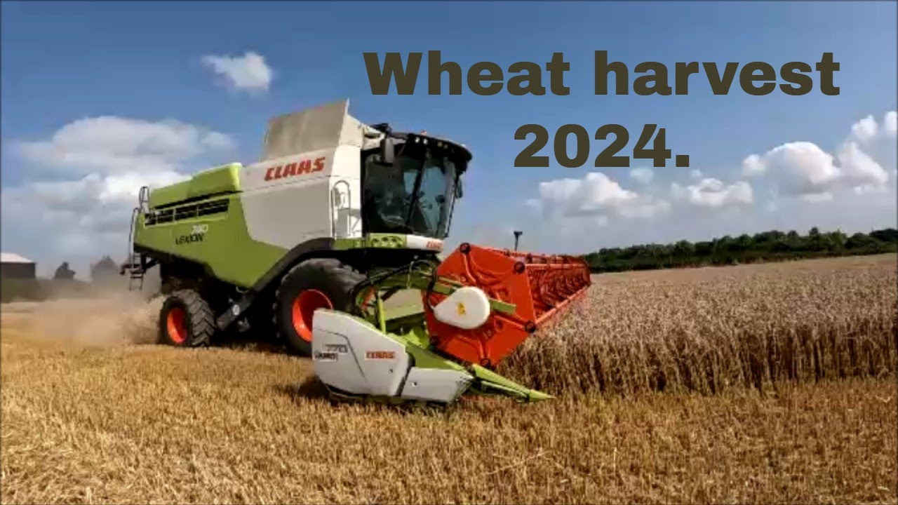 29/08/24  Wheat harvest 2024.