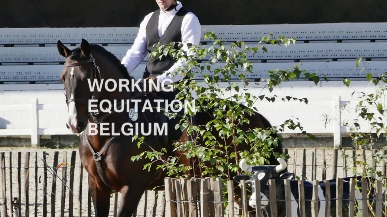 Working Equitation Belgium