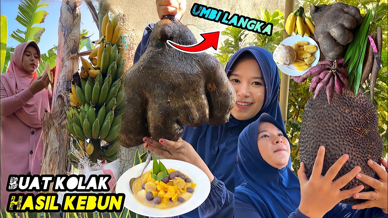 Bikin kolak dari hasil kebun | Resep kolak enak
