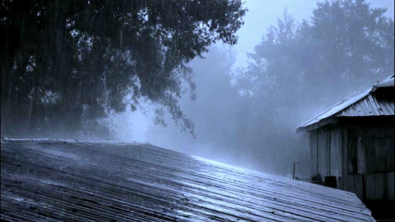 Torrential Rain on Tin Roof Cabin - Heavy Sleep Rain No Thunder