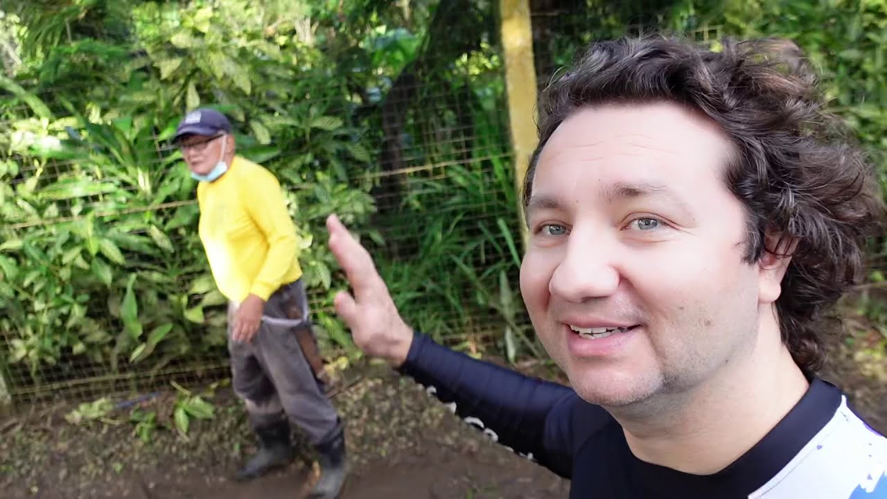 First Days of my Family Living in Pinoy Bahay Kubo Nipa Hut in Amadeo Tagaytay Philippines
