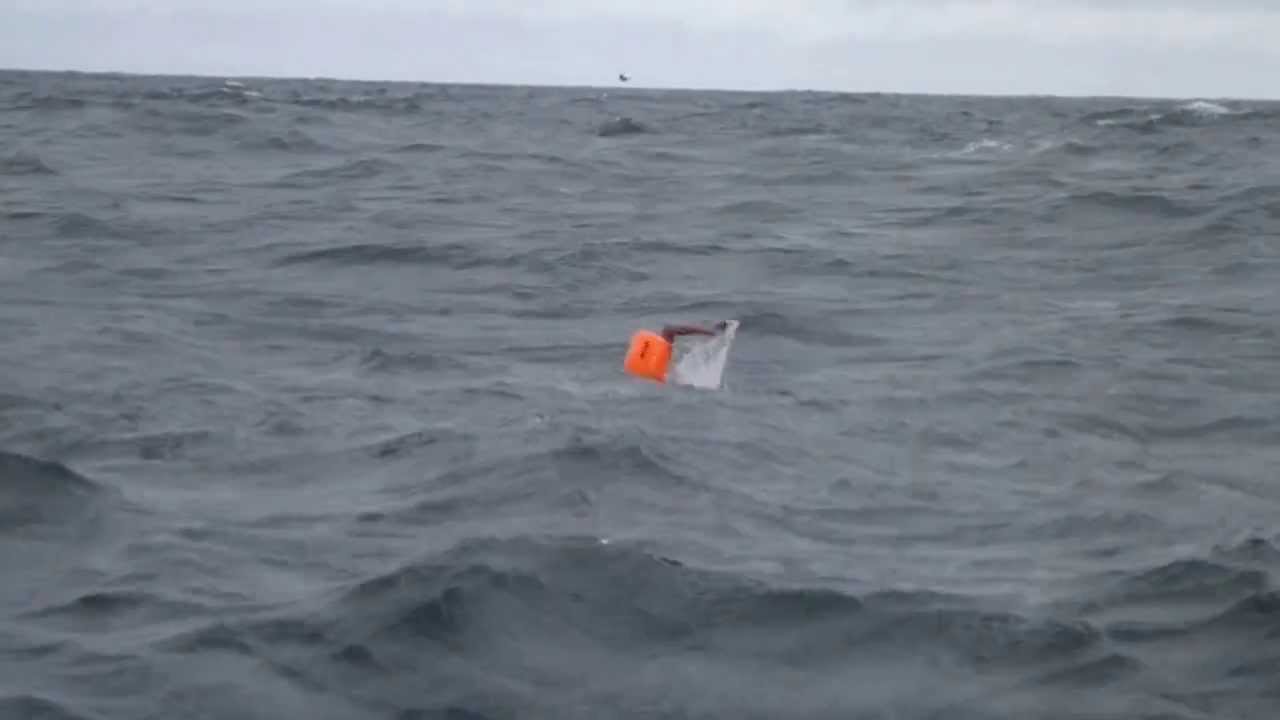 Bering Strait Swim - Toomas swimming