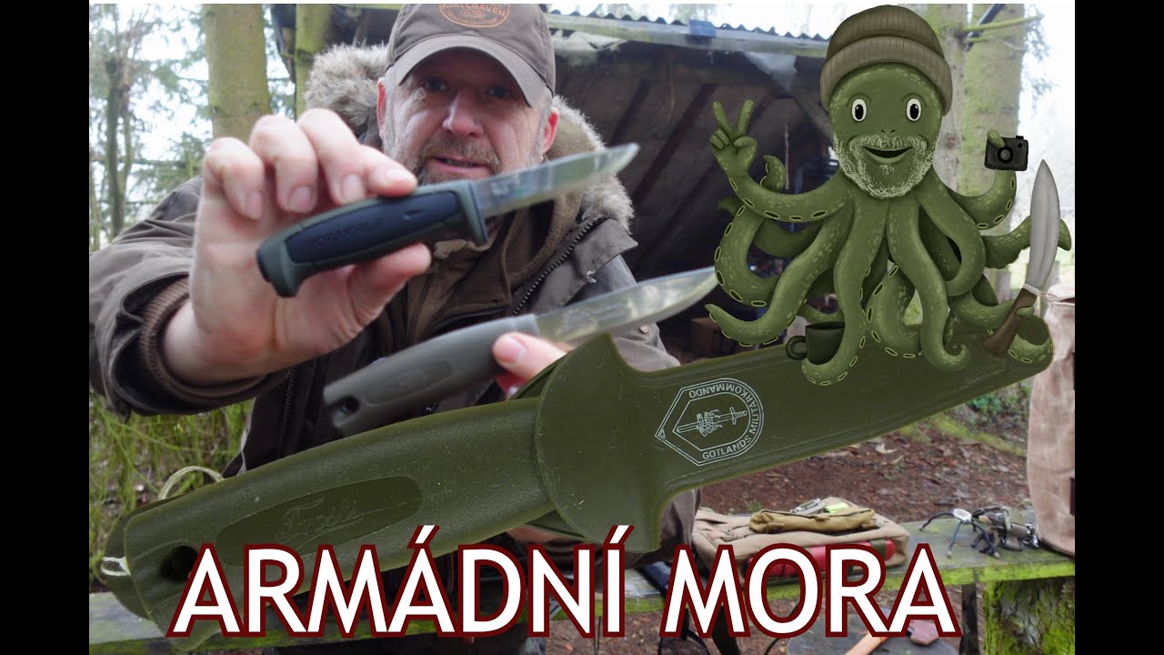 Zajímavost . Armádní Mora -  Frost Gotlands Militärkommando