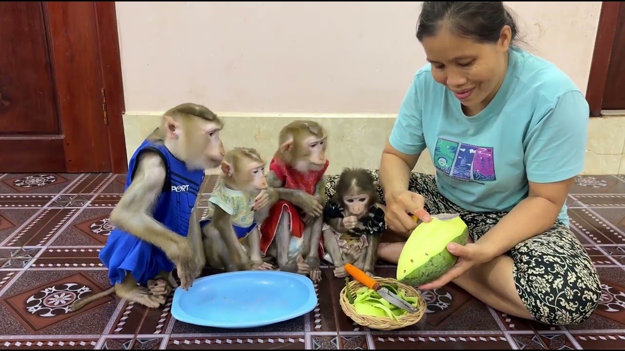 4 Siblings Feel Very Delighted While Mom Slicing Mangoes For Their Family Dessert Treat ,