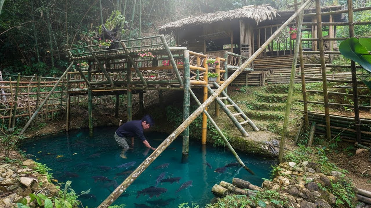 Build a Bushcraft farm in the deep forest. Building a balcony out of bamboo, catching fish & cooking