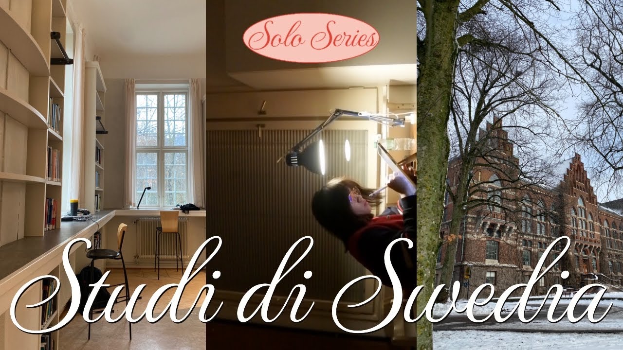 lund diaries | snow, sun, study and so on
