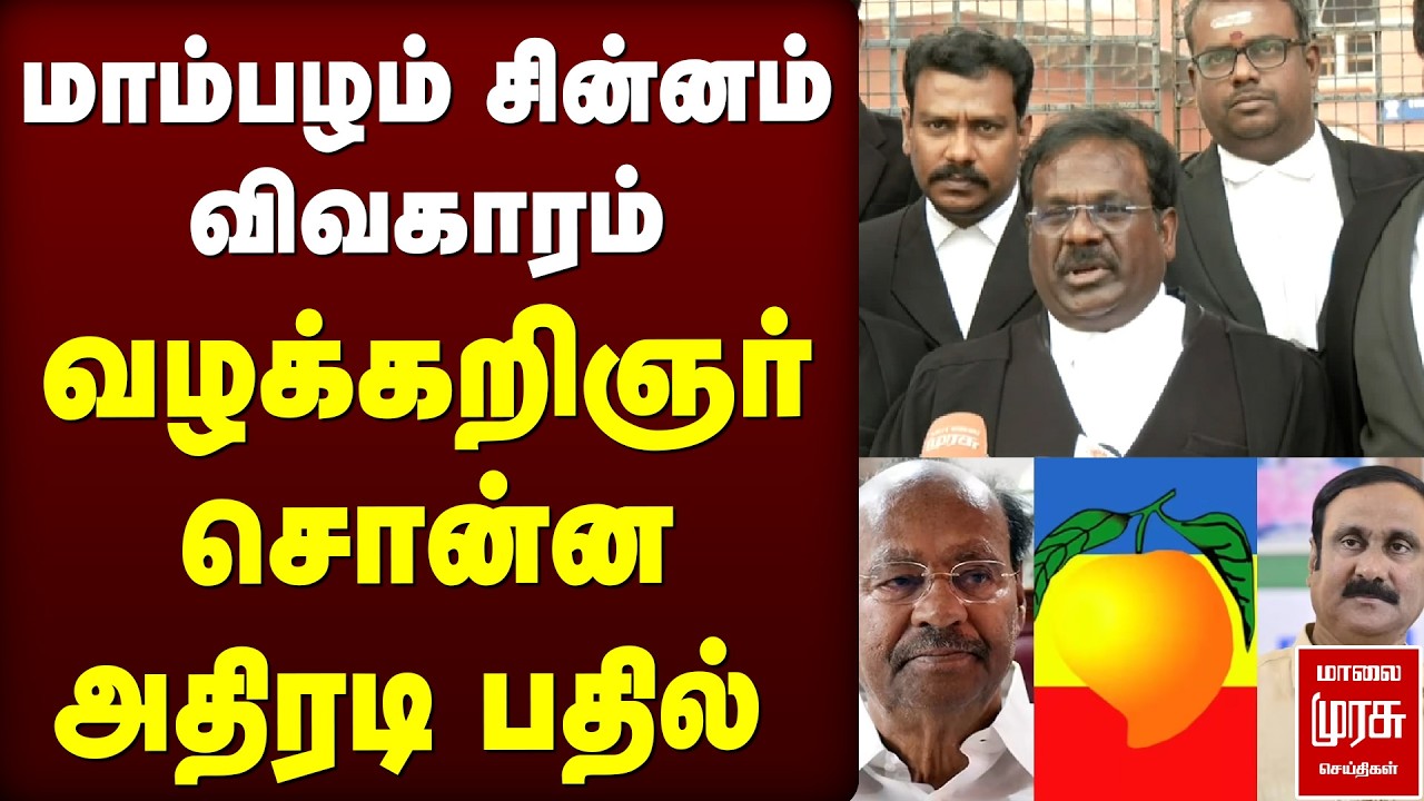 மாம்பழம் சின்னம் விவகாரம்  வழக்கறிஞர்  சொன்ன அதிரடி பதில்  | PMK | RAMADAS